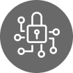 Secure Icon